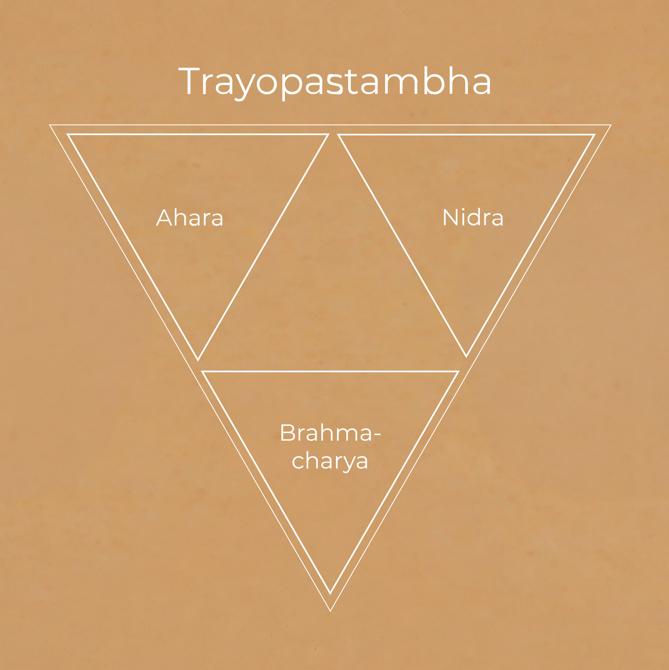 The Ayurvedic architecture of life, part 1