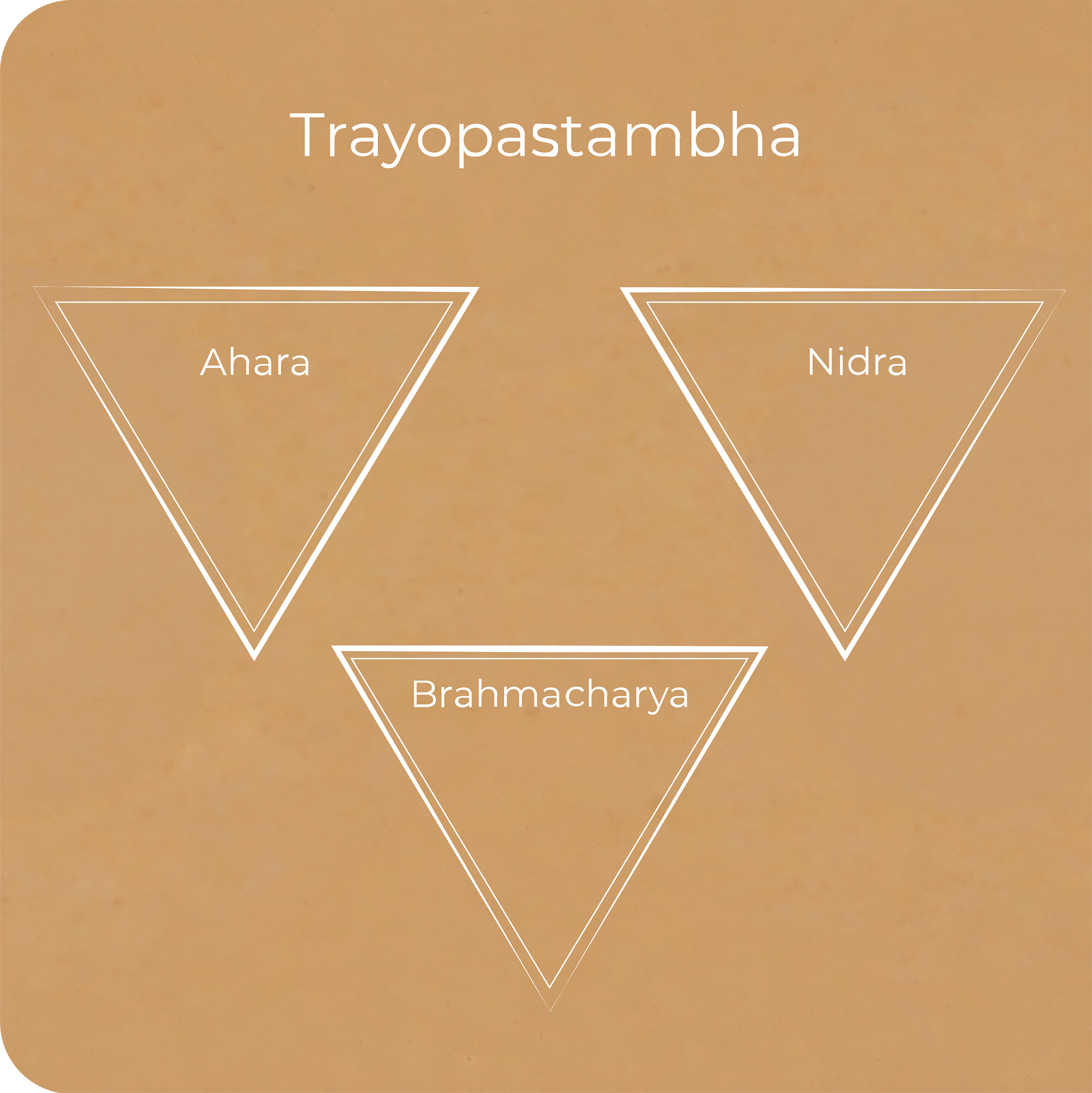 The Ayurvedic architecture of life, part 1