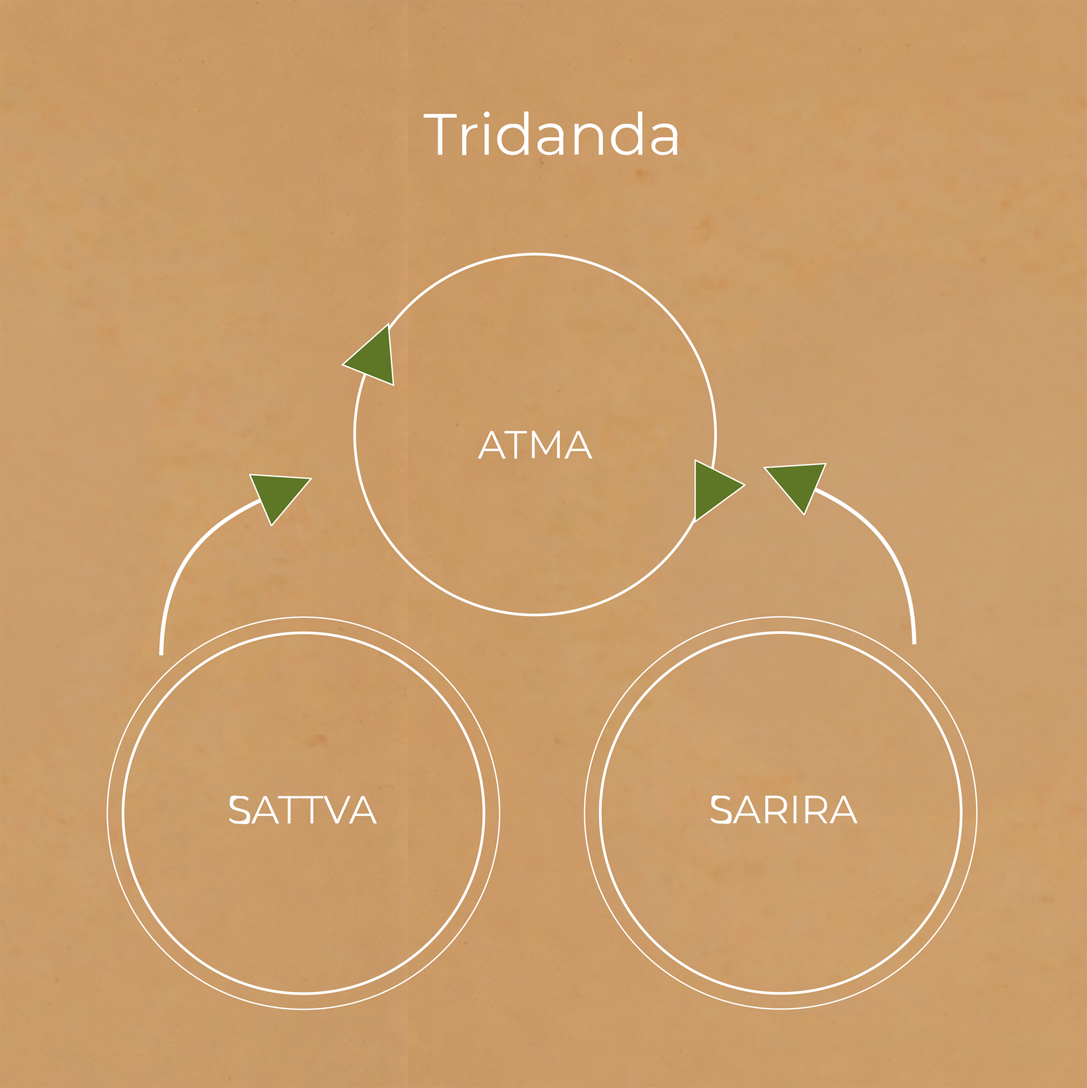 The Ayurvedic architecture of life, part 2
